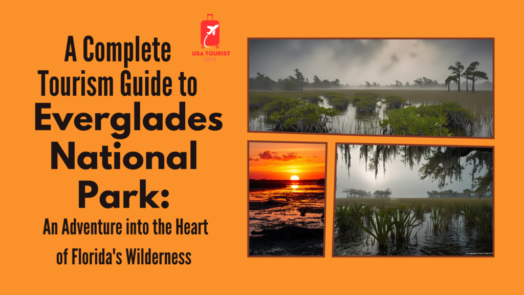 A Complete Tourism Guide to Everglades National Park: An Adventure into the Heart of Florida’s Wilderness