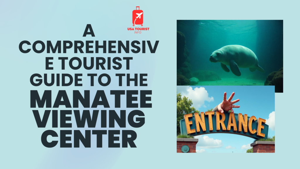 A Comprehensive Tourist Guide to the Manatee Viewing Center